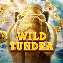 Wild tundra Wild tundra